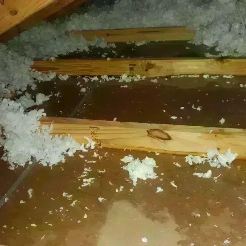 Attic Water Damage in Von Ormy, TX